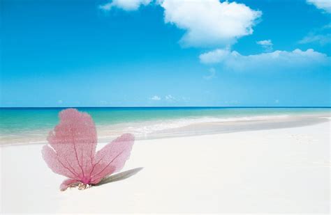 Playa Paraiso Cayo Largo Cuba Top Tips Before You Go Tripadvisor
