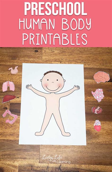 Preschool Human Body Printables Cf3