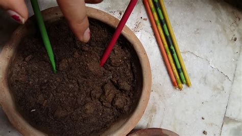 How To Grow Plantable Pencil Part 2 Youtube