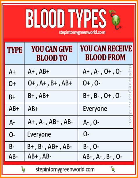Terdapat enam jenis leukosit dalam darah yaitu neutrofil, eosinofil, basofil monosit, limfosit dan sel plasma. QUTBAH JIBRIL: JENIS darah
