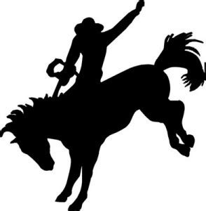 Bucking Bronco Software Projects That Kick It S A Delivery Thing