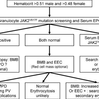 Algorithm For Diagnostic Work Up Of Patients With Suspected