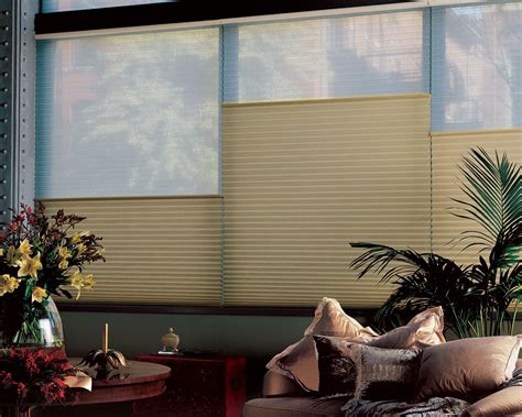 Duette® Duolite® Shades Victor Shade