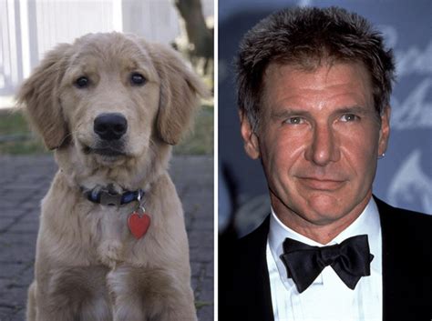 15 Celebrities And Their Shocking Dog Lookalikes Screenshot