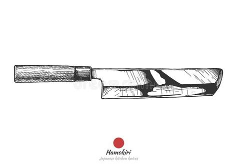 Japanese Kitchen Knife Stock Vector Illustration Of Kiritsuke