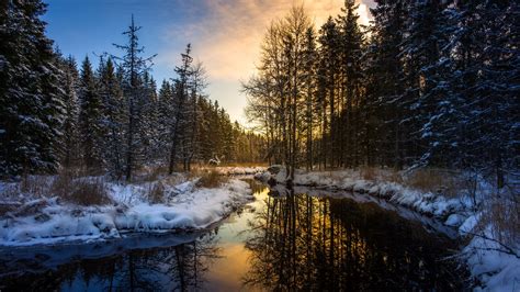 Winter Afternoon Landscape Wallpaper Backiee