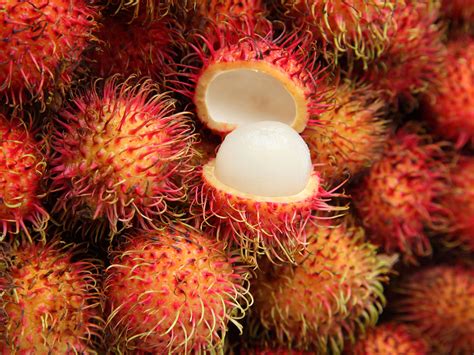 Amazonian fruits from the peru amazon rainforest are unsual and strange. 11 Rare and Unusual Fruits You Can't Find at Home - Photos ...