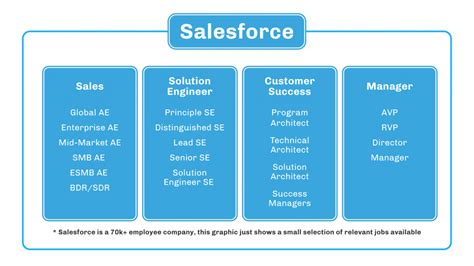 Ultimate Guide To Salesforce Career Paths Infographic Salesforce Ben