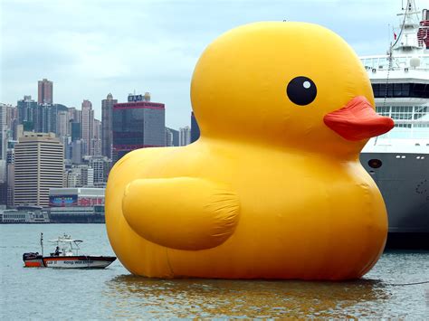 Rubber Ducky Youre Not The One Hong Kong Quacker Spawns Others