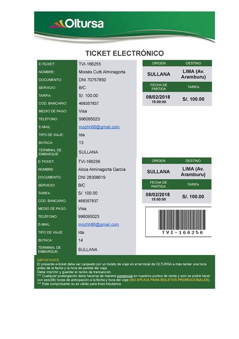 Ticket Electrónico Adsfdf Dsgds Ticket ElectrÓnico E Ticket Tvi