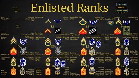 Enlisted Army Ranks Army Enlisted Rank Insignia Stock Vector