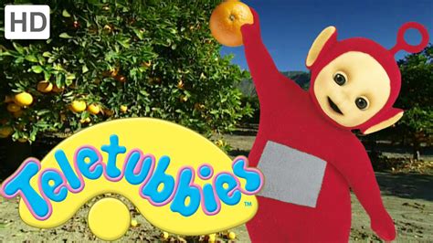 Teletubbies Orange Picking Full Episode Youtube