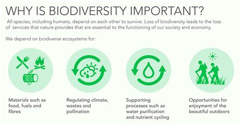 Part I Biodiversity In Ontario Why Does It Matter Sierra Club Canada