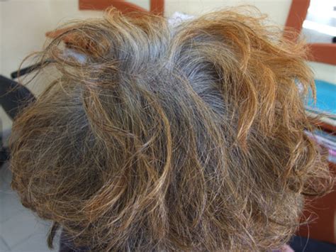 Convaincue par l'aspect soin et la composition à base de poudres de plantes. Modèle coloration cheveux végétale