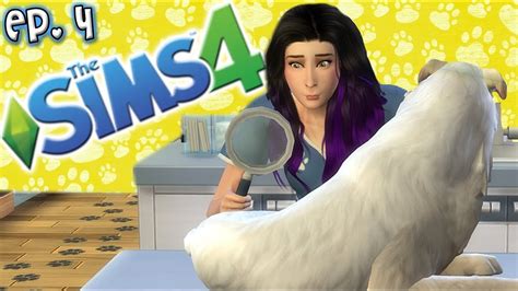 Vet Lauren Has No Idea How To Vet The Sims 4 Raising Youtubers Pets