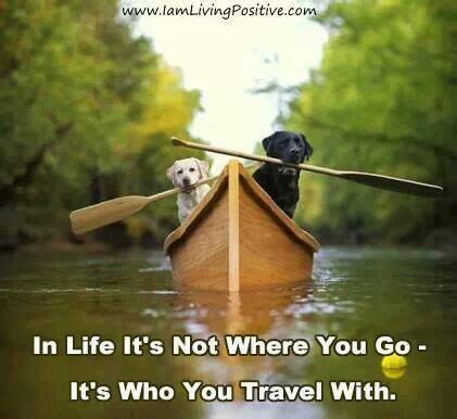 Discover and share travel buddy quotes. Travel Buddy Quotes. QuotesGram