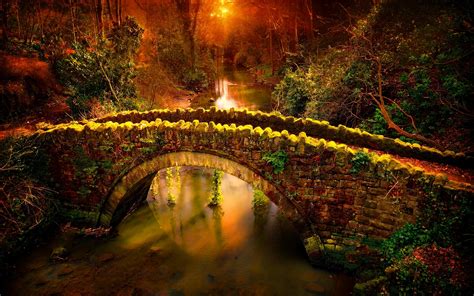 Stone Bridge In The Forest Hd Wallpaper Background Image