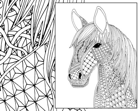 Printable animal coloring pages, coloring sheets and pictures of animals for kids. Horse coloring page animal coloring page adult coloring | Etsy