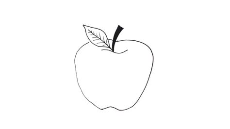 How To Draw An Apple My How To Draw