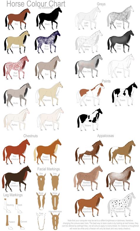 Color Chart Horse Color Chart Horse Coloring Horse Breeds