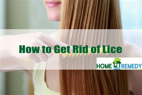 How To Get Rid Of Lice Effective Tips That You Should Follow
