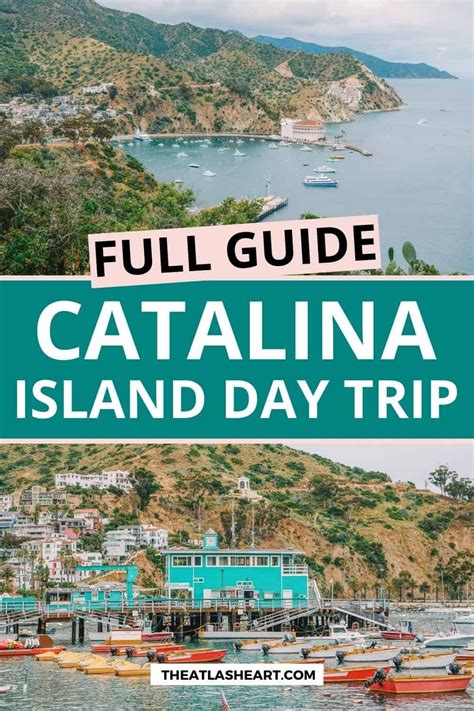 the perfect catalina island day trip how to spend one day on the island artofit