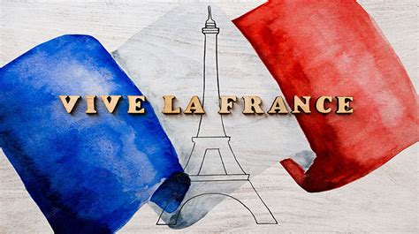 Vive La France Diplomatist