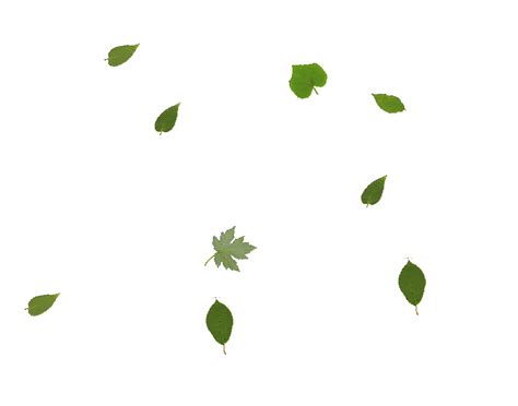 The best gifs for falling leaves. Leaves gif 4 » GIF Images Download