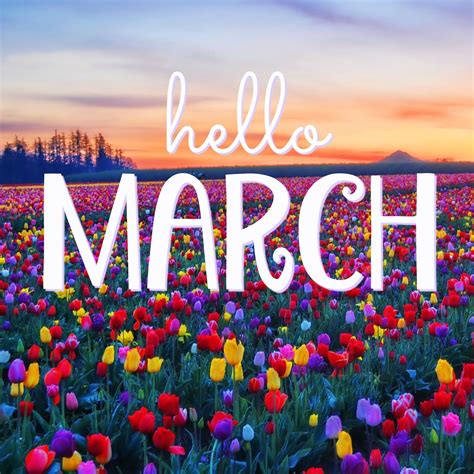 Happy March! March is the gentle rays of the morning sun, flowers ...