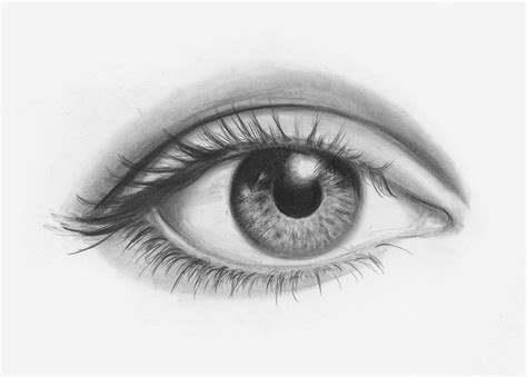 Draw Facial Features with This In-Depth Beginner's Guide First, make a small construction drawing.