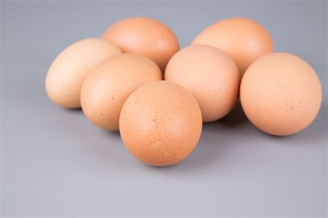 Egg Free Stock Photo Public Domain Pictures