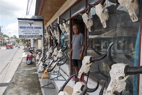 Carved Skulls Bali Strange Biology Flickr