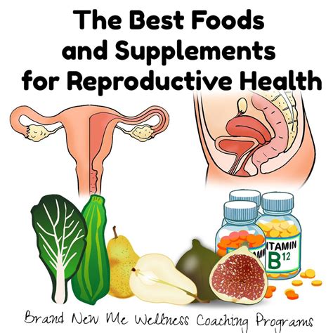 The Best Foods And Supplements For Reproductive Health