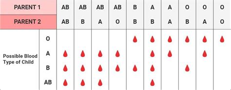 What Is The Most Common Blood Type