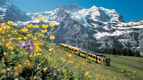 Jungfrau Ch Holiday Accommodation From Au 129night Stayz
