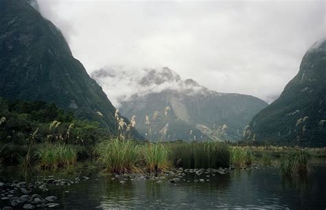 Milford Sound In South Island New Zealand Tourist