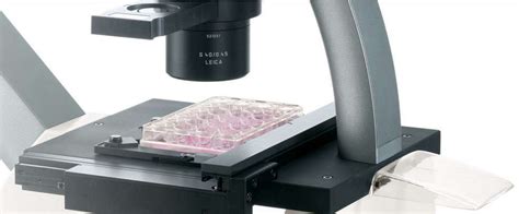 Leica Dmi1 Inverted Biological Microscope Gt