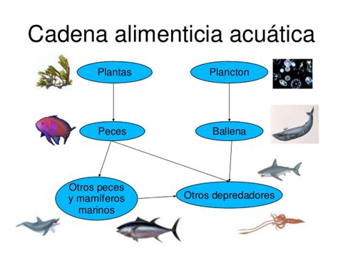 Add a bio, trivia, and more. Ecosistemas: Lara Gª, Alejandro V. y Daniel
