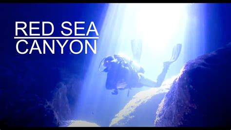 Red Sea Canyon Youtube