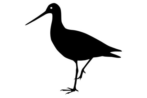 Godwit Bird Silhouette Graphic By Idrawsilhouettes · Creative Fabrica