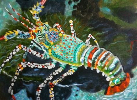 Rainbow Crayfish © Sea Creatures Sea Dragon Creatures
