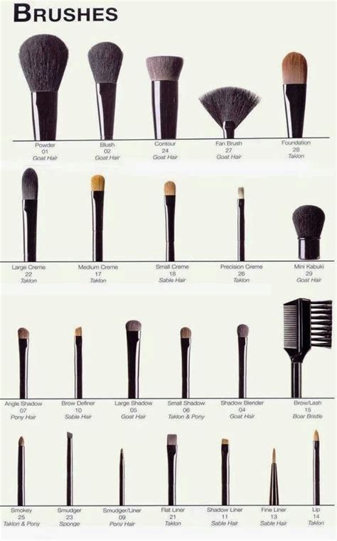 Names Of Make Up Brushes Makeup Charts Makeup Brushes Guide Eye