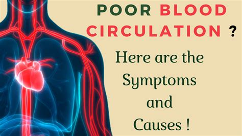 Poor Blood Circulation Symptoms And Causes