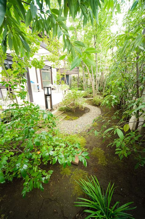 雑木の庭, 日本 #garden #japan | 庭, ガーデニング, 庭のアイデア
