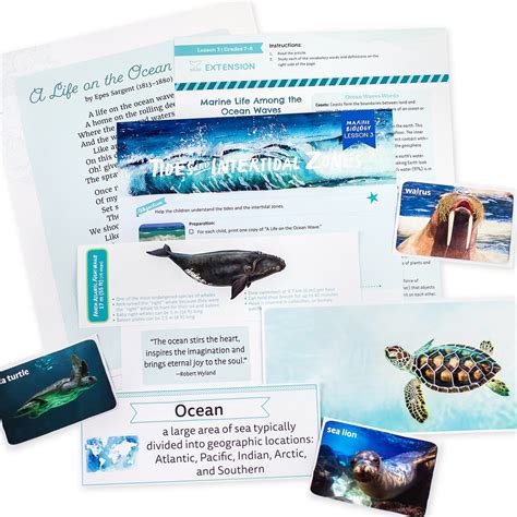 Marine Biology Homeschool Curriculum Online Course