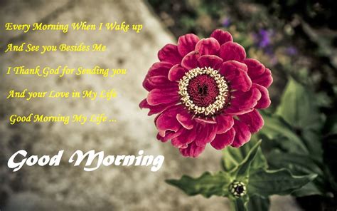 The best way to start a morning is to send or get some prayer messages on your phone. Good Morning images with Flowers - Gud morning flowers ...