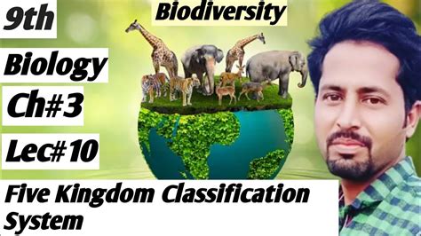 Five Kingdom Classification System 9thbiologych3lec10 Five