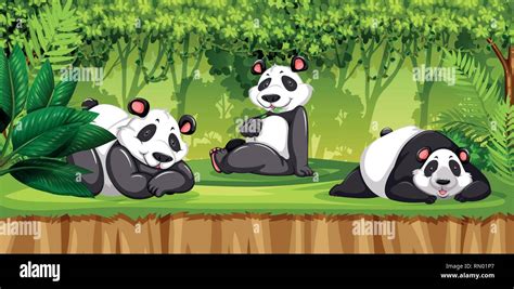 Panda In A Jungle Illustration Stock Vector Image And Art Alamy