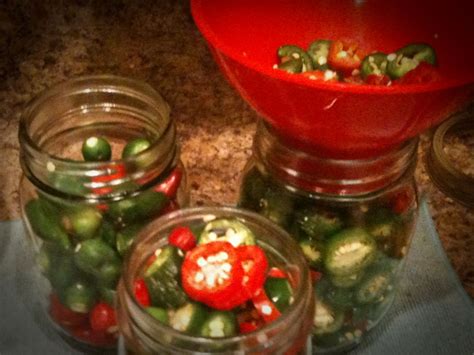 Diy Canning Jalapenos Canning Jalapenos From The Garden This Is A