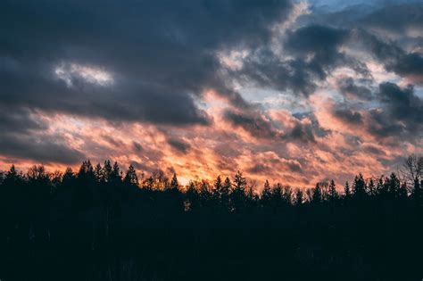 Wallpaper Clouds Trees Sky Sunset 5184x3456 Wallbase 1287133